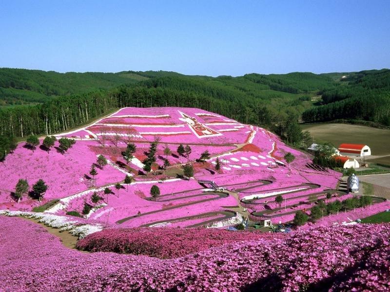 Kawayu Daiichi Hotel Suikazura Teshikaga ภายนอก รูปภาพ